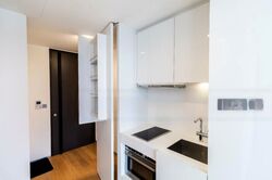 Skysuites@Anson (D2), Apartment #459136661